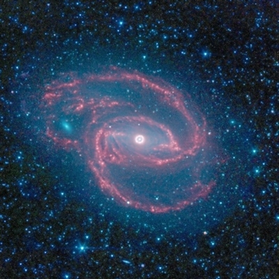 Orione rivelato da Spitzer