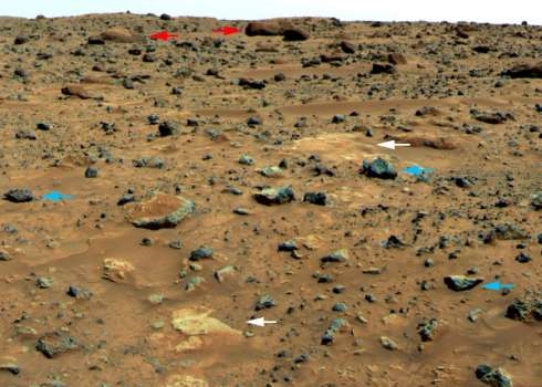 האם הרומבים יכולים למצוא חיים במאדים?