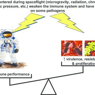 El vuelo espacial podría disminuir la inmunidad