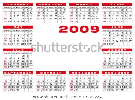 Year in Space 2008 Kalender