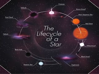 Wie sich die wirklich großen Sterne bilden