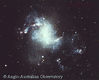 Starburst Galaxy NGC 1313