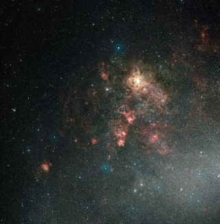L'ESO capture l'image de la nébuleuse de la tarentule