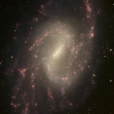 Naissance d'étoiles dans NGC 6946