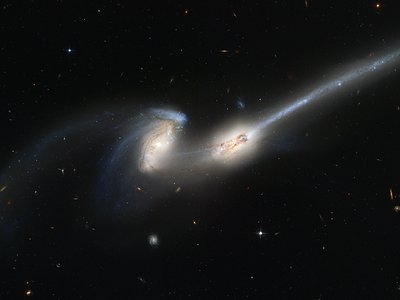 Papel de Parede: Espiral Barrada NGC 1300