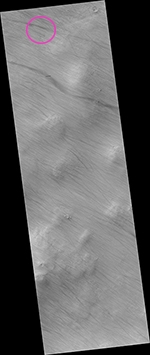 Ο Rover βλέπει έναν διάβολο σκόνης στον Άρη