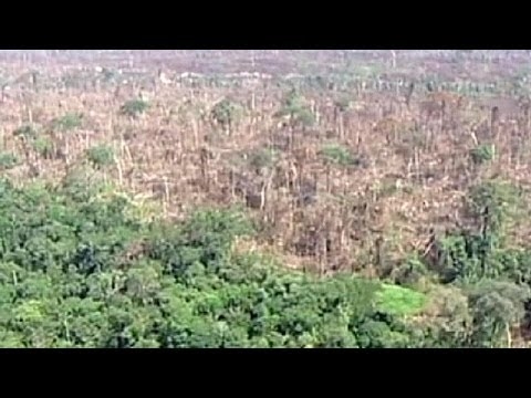 Cómo la deforestación en Brasil está afectando el clima local