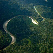 Ako odlesňovanie v Brazílii ovplyvňuje miestne podnebie