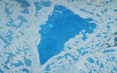 يتقلص تقلص الجليد البحري في القطب الشمالي