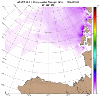 Mažėjantis Arkties jūros ledas įsibėgėja