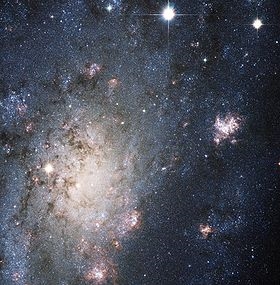 Supernova nella vicina Galaxy NGC 2403
