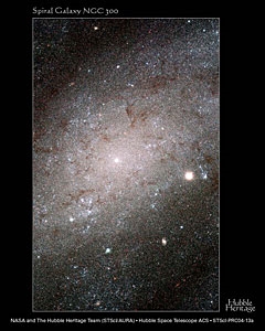 Yakındaki Galaxy NGC 2403'te Süpernova