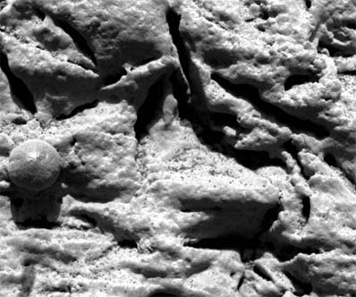 Mineralien in Mars-Sphären zeigen auf Wasser