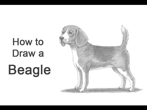 Próximos pasos para Beagle 2