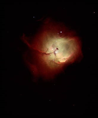 Vista del Hubble de Starbirth