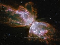 Fondo de pantalla: Bug Nebula