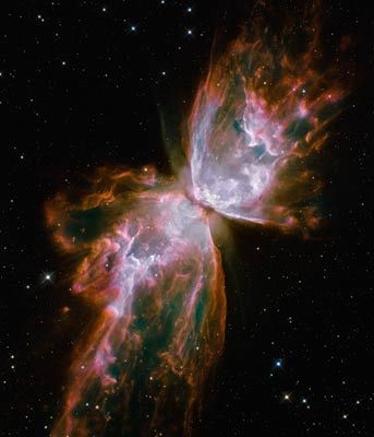 Behang: Bug Nebula