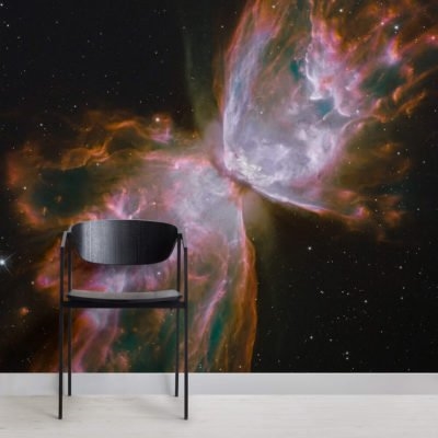 รูปพื้นหลัง: Bug Nebula