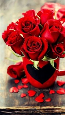 Fondo de pantalla: Spitzer's Valentine Rose