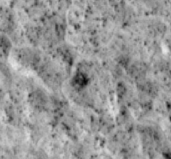 Premières images haute résolution de Mars Reconnaissance Orbiter