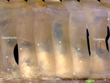 Egy év a Mars Reconnaissance Orbiter számára