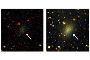 Dark Matter Halo Puzzles Astronomers