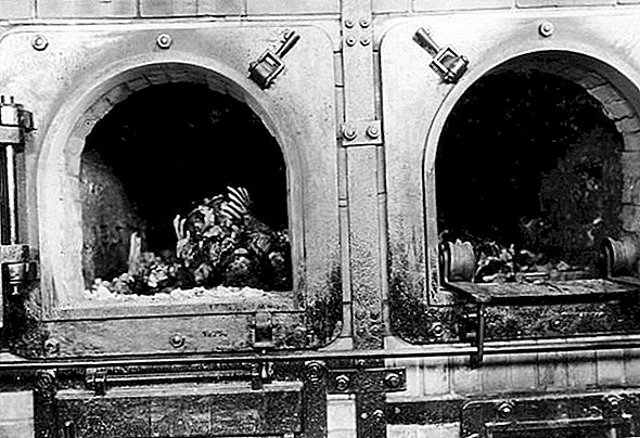 1,32 εκατομμύρια Εβραίοι είχαν σκοτωθεί σε μόλις τρεις μήνες κατά τη διάρκεια του Ολοκαυτώματος