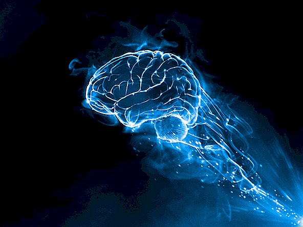 2019 년 뇌에 대해 배운 10 가지