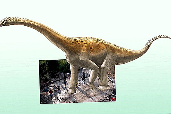 110 milzu soļi: ieraksts par garu kaklu no dinozauru pārtraukumiem garākā celiņa laikā