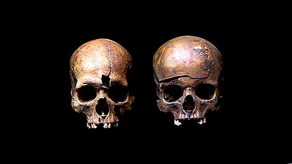 Une fosse à mort du XIIIe siècle révèle une famille assassinée dans la «ville noyée de sang»