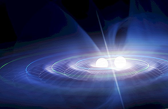 1. Beweis eines Schwarzen Lochs, das einen Neutronenstern verschlingt, sendet Wellen durch die Raumzeit
