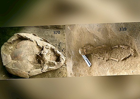 2 nourrissons ont été enterrés portant des casques fabriqués à partir de crânes d'enfants. Et les archéologues sont perplexes.