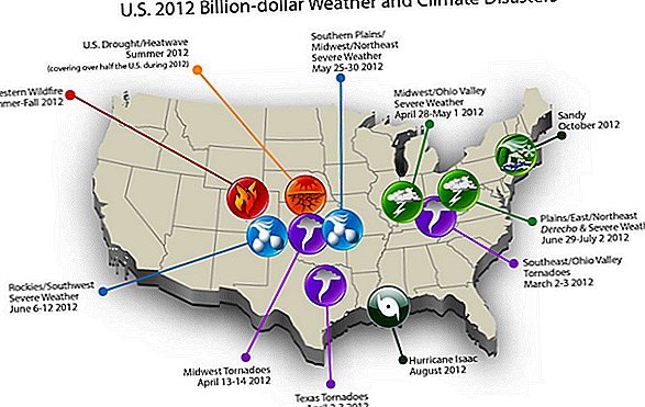 2012 Andet omkostningsvisste år for naturkatastrofer