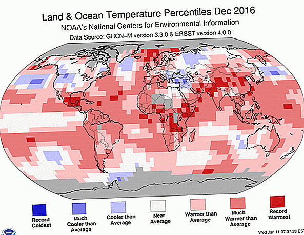 2016 foi o ano mais quente da Terra já registrado, e os humanos são os culpados