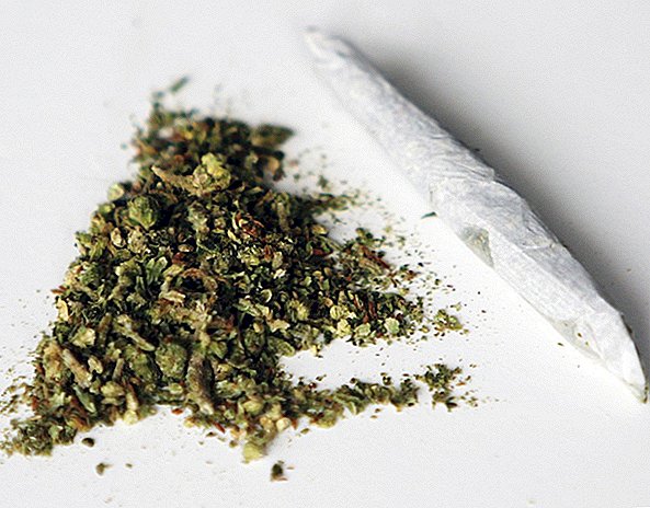 Fakta Ganjil Mengenai Marijuana