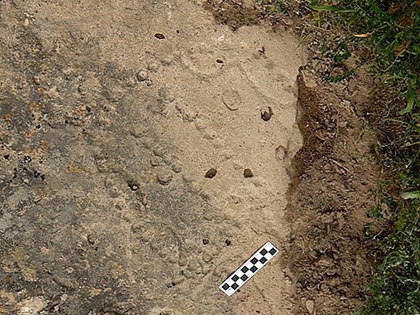 4000 år gammelt spillbrett skåret ut i jorden viser hvordan nomader hadde det moro