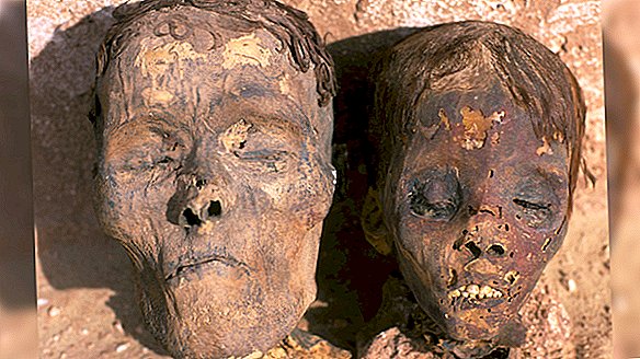 Múmias de 4.000 anos mostraram sinais precoces de doença cardíaca