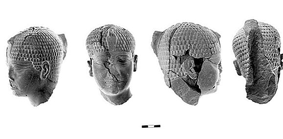 Cabeza de estatua de 4.300 años de antigüedad representa al faraón misterioso