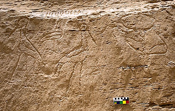 Hieroglüüfide 5000-aastane stend sisaldab kosmilist sõnumit
