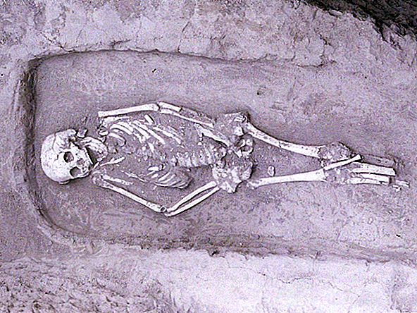 5.000 jaar oude mens gevonden met 'extreem zeldzame' vorm van dwerggroei