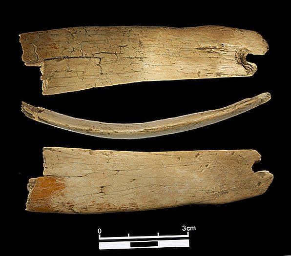50 000 år gammal Tiara gjord av ylle mammut elfenben i Denisova Cave