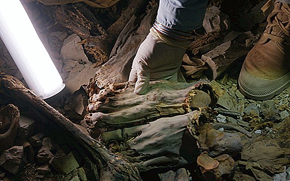 60 antiche mummie egiziane sepolte insieme sono morte "morti sanguinanti e temibili"