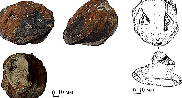8 300-річні голови кам’яних змій відкривають ритуальні обряди кам'яного віку