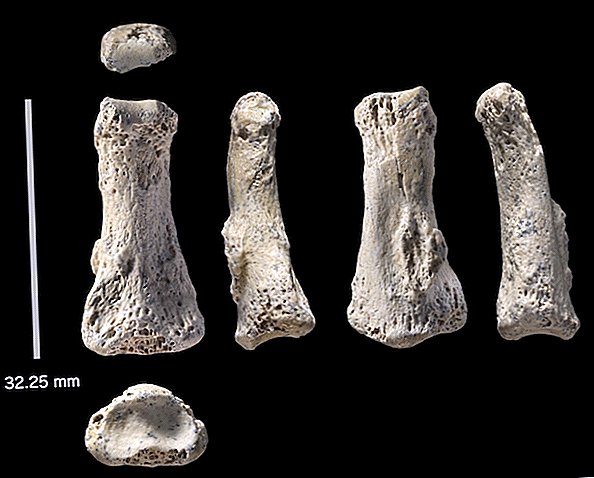 Xương ngón tay 85.000 năm tuổi có thể viết lại câu chuyện về sự di cư của con người ra khỏi châu Phi