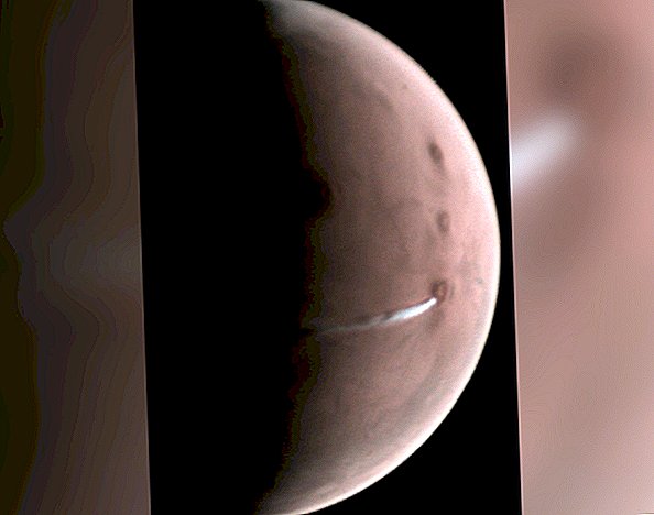 950 Meilen lange Wolke über dem Marsvulkan. Und es hat Durchhaltevermögen.
