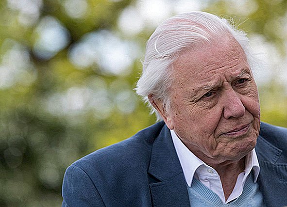 Après la vie de l'aventure, Attenborough regrette d'avoir passé du temps en famille
