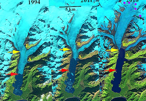 El glaciar Excelsior de Alaska está siendo reemplazado por un lago 5 veces el tamaño de Central Park