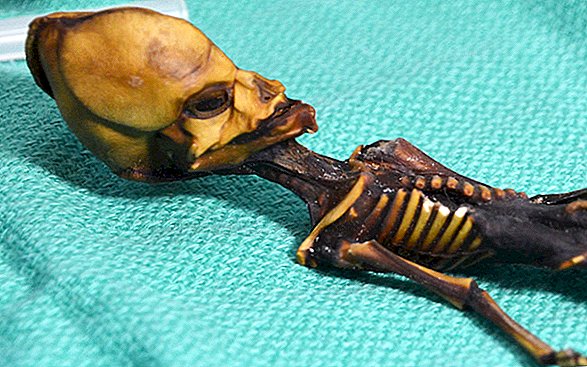 La sonda del DNA della mummia "aliena" può aver attraversato linee etiche