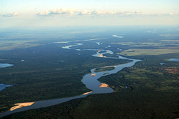 الأمازون: أعظم نهر على الأرض