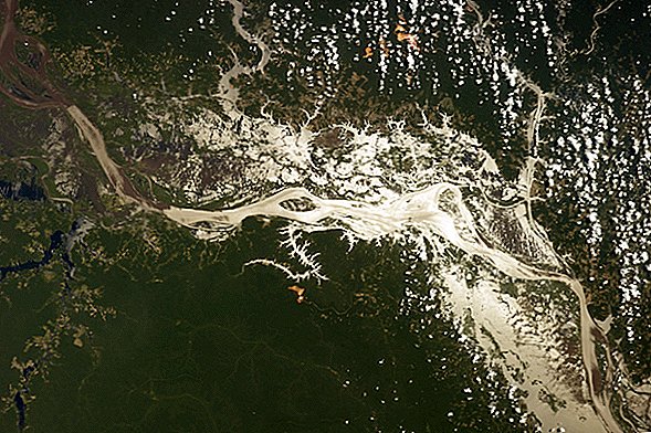 الأمازون يظهر عصره: يقول العلماء أن النهر لا يقل عن 9 ملايين